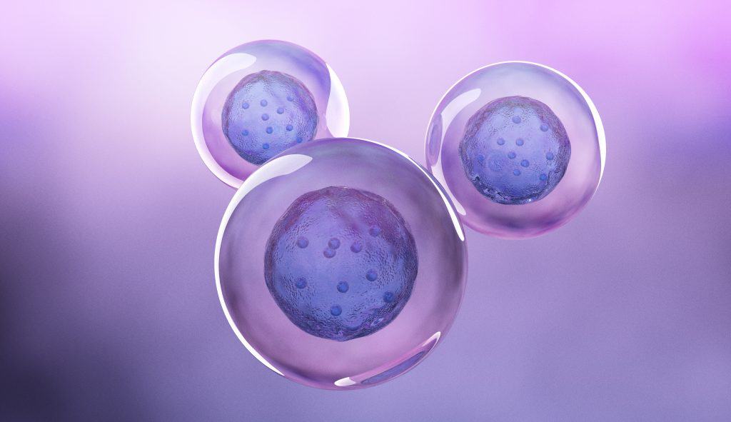 Cell image