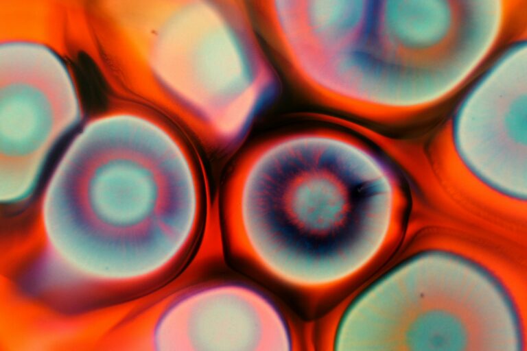 pexels-anniroenkae-5069876 