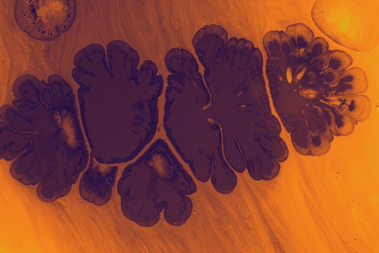 pexels-turgay-koca-405356598-15314651 