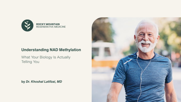 NAD methylation and cellular energy diagram